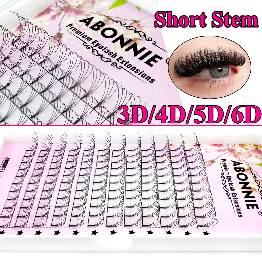 Abonnie 6D Narrow Fan Premade  - Eyelash Extension Course recensie en prijs